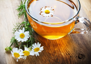 Chamomile Tea and chamomile oil for Herpes Outbreaks