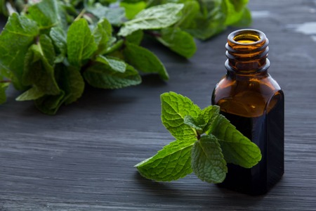 peppermint oil hsv