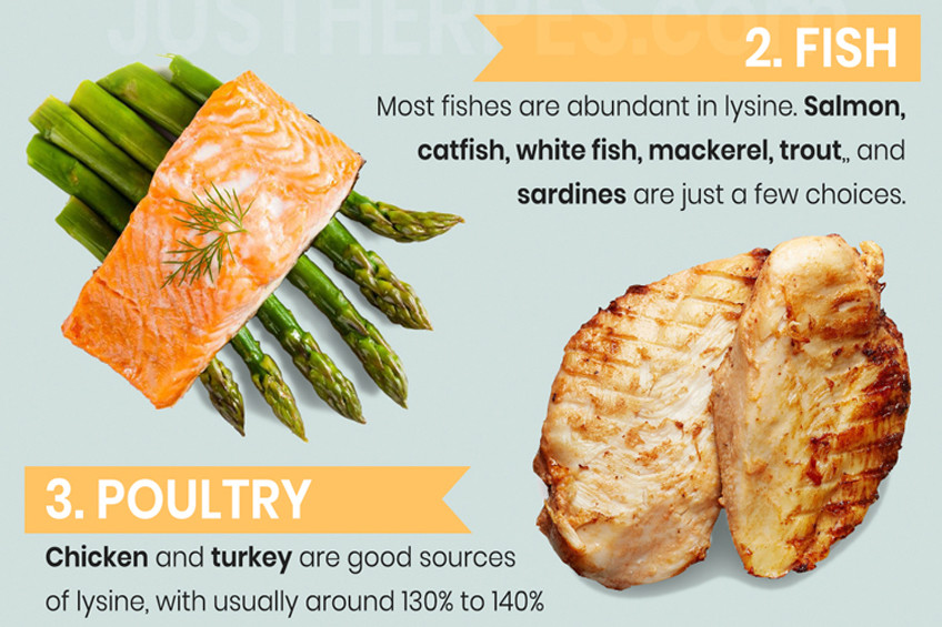 Herpes Food Chart